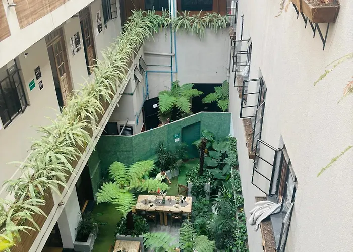 Roma Norte Hostal