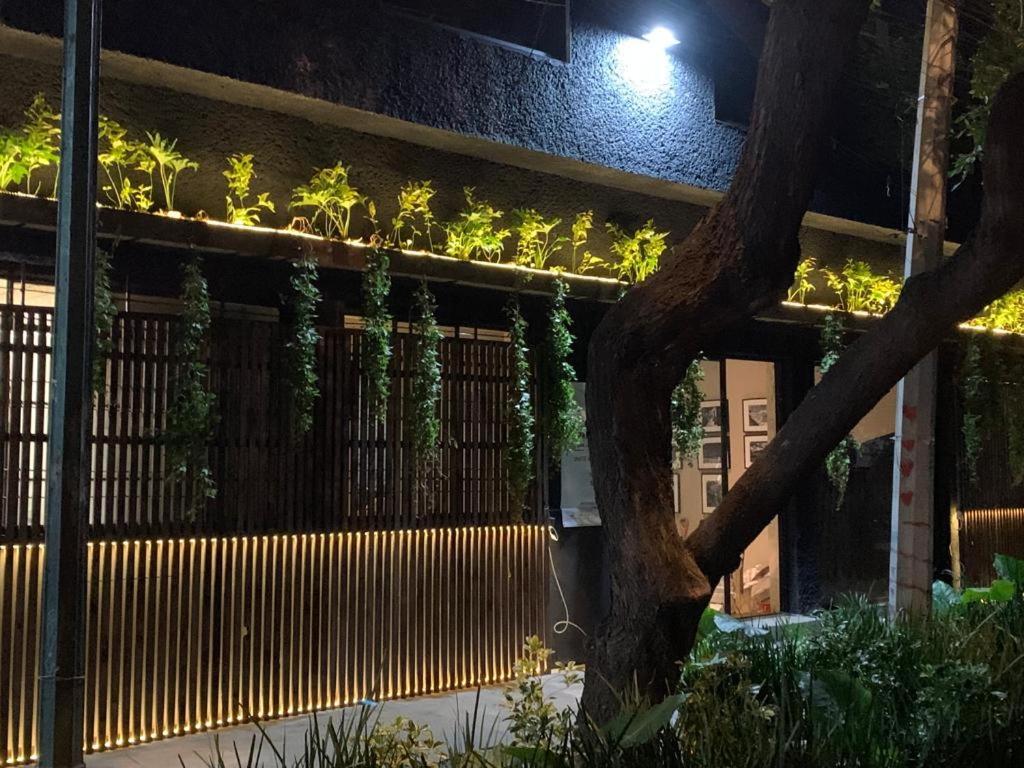 Roma Norte * México DF