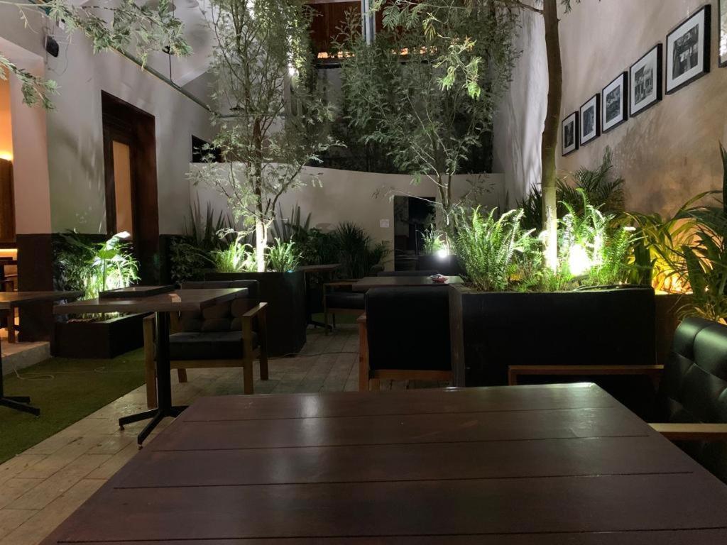 Roma Norte * México DF