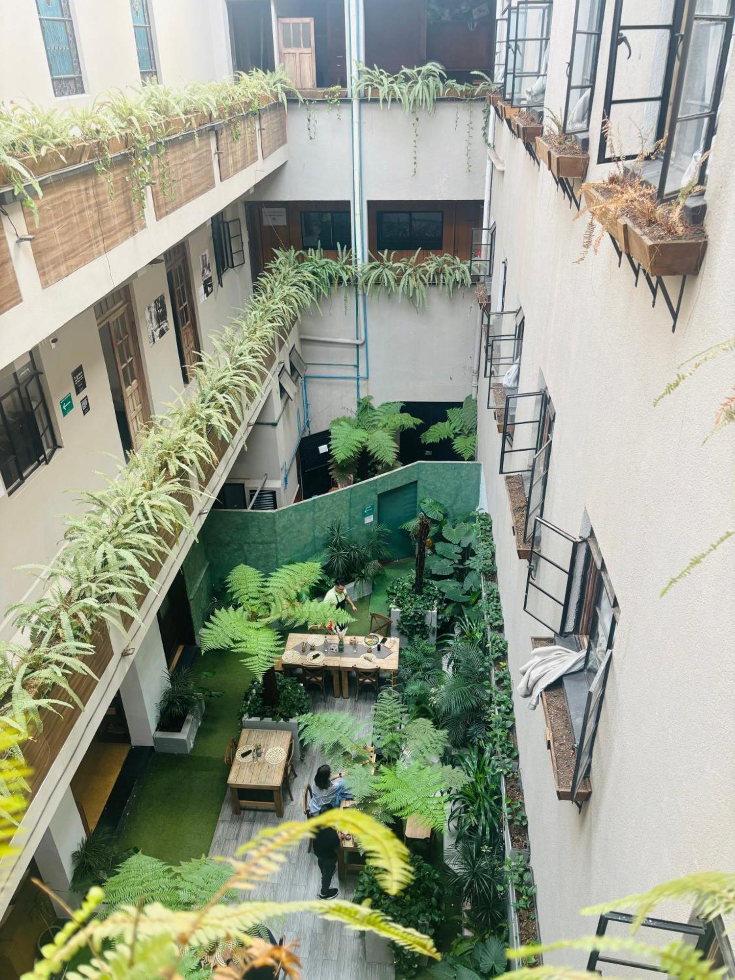 Roma Norte México DF