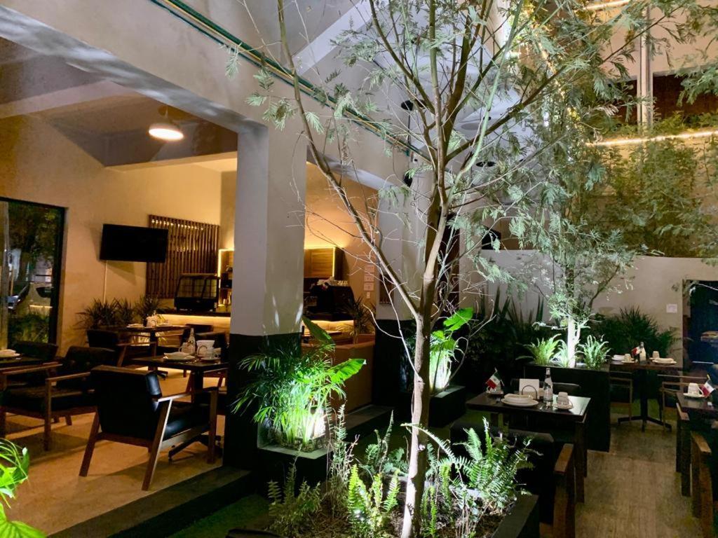 Frontera 49 Roma Norte Hotel Mexiko-Stadt
