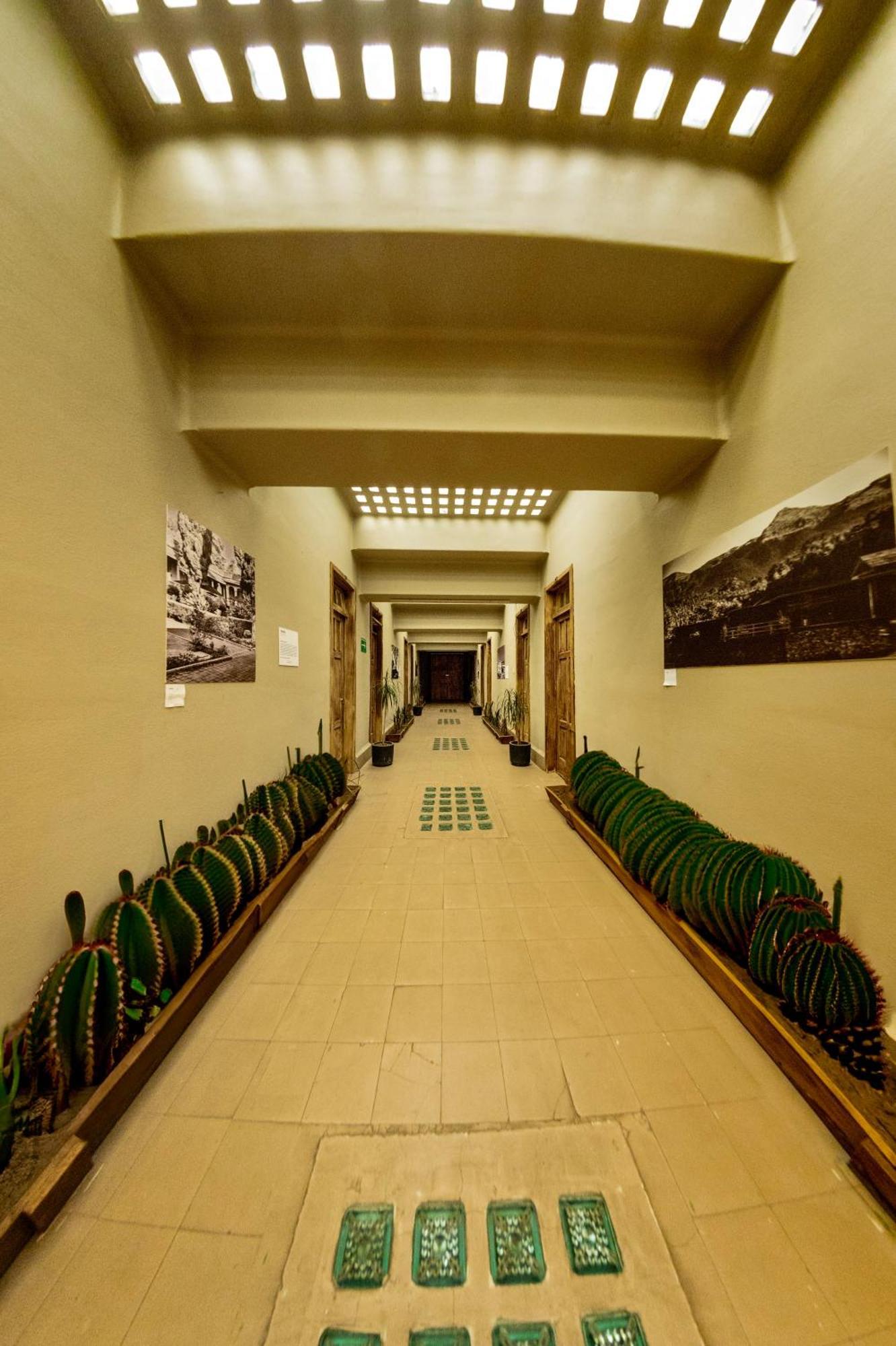 Hotel Frontera 49 Roma Norte